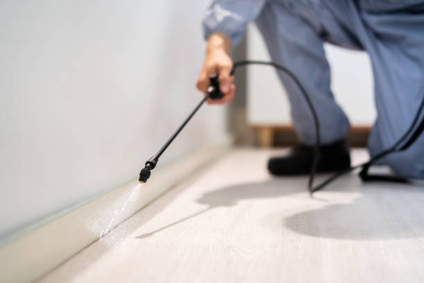 Licensed Pest Control service in Macon, MO - Show Me Pest Control