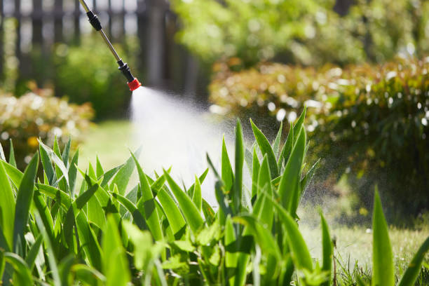 Tamper-Resistant Bait Stations for Rodents in Macon