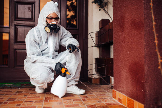 Attic and Crawl Space Rodent Treatment in Macon