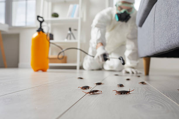 Commercial Rodent Management in Macon